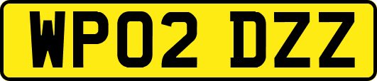 WP02DZZ
