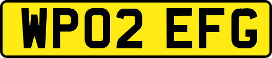 WP02EFG