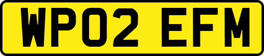 WP02EFM