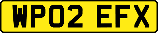 WP02EFX