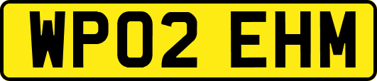 WP02EHM