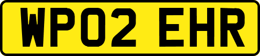 WP02EHR