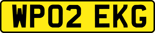 WP02EKG