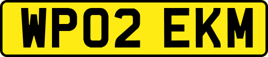 WP02EKM