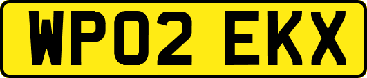 WP02EKX