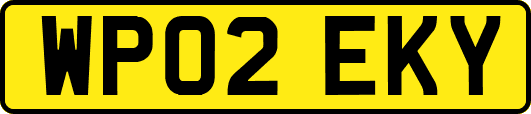 WP02EKY