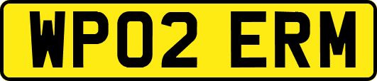WP02ERM