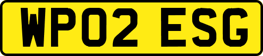 WP02ESG