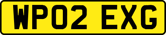 WP02EXG