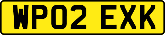 WP02EXK