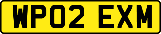 WP02EXM
