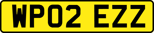 WP02EZZ