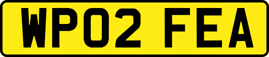 WP02FEA