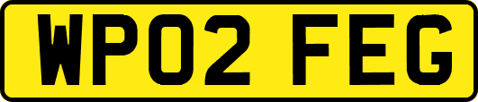 WP02FEG