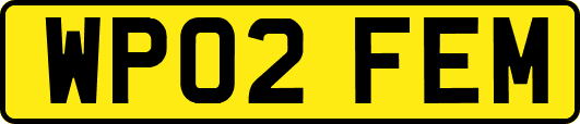 WP02FEM