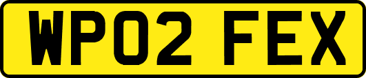 WP02FEX