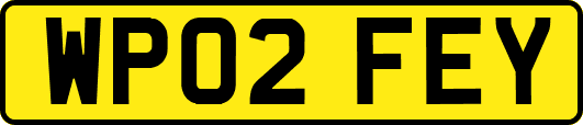 WP02FEY