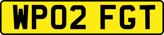 WP02FGT