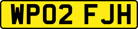 WP02FJH