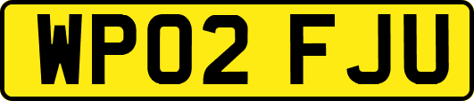WP02FJU