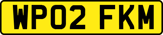 WP02FKM