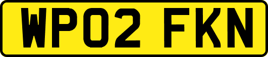 WP02FKN