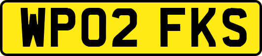 WP02FKS