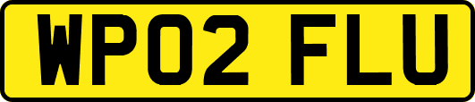 WP02FLU