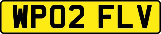 WP02FLV