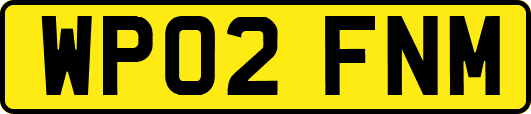 WP02FNM
