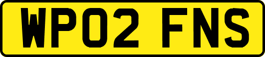 WP02FNS