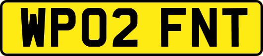WP02FNT