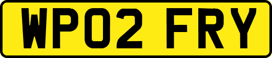 WP02FRY