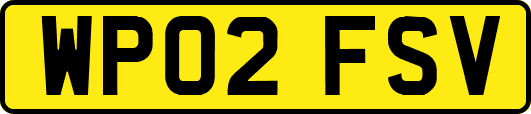 WP02FSV