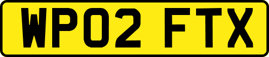 WP02FTX