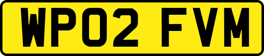 WP02FVM