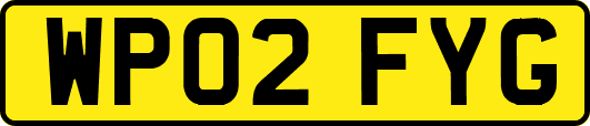 WP02FYG