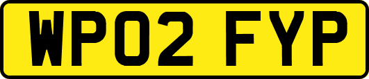 WP02FYP