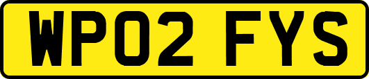 WP02FYS
