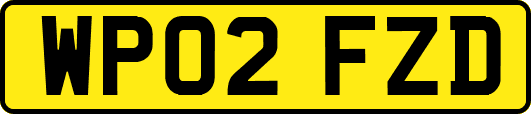 WP02FZD