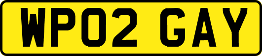 WP02GAY