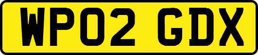 WP02GDX