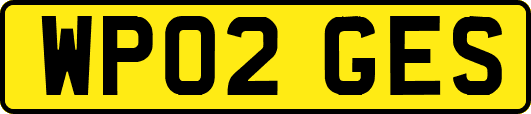 WP02GES