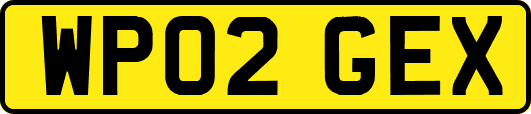 WP02GEX