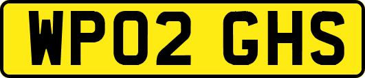 WP02GHS