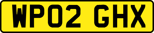 WP02GHX