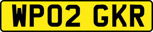 WP02GKR