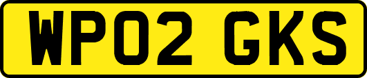 WP02GKS
