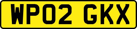 WP02GKX