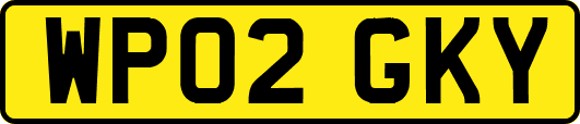 WP02GKY